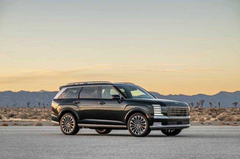 New hybrid Palisade